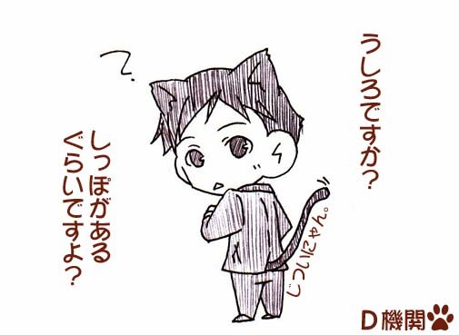 Dにゃんこ。その3。