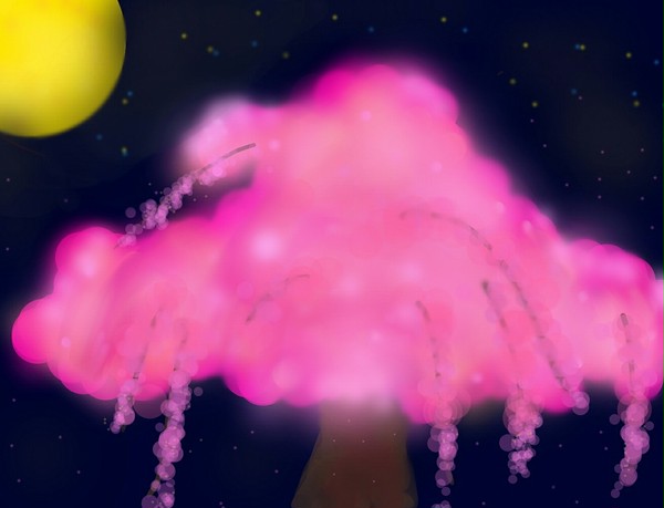 夜桜と月
