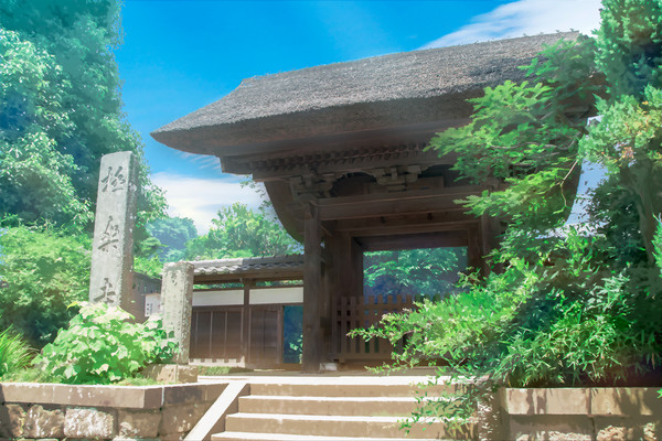 夏の寺院