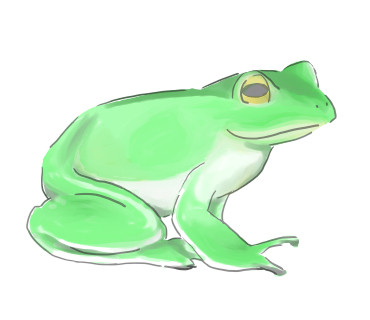 カエル