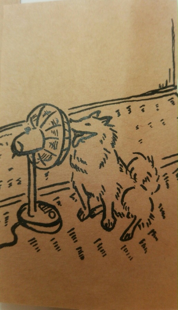 扇風機独り占め