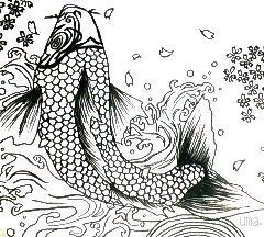 鯉