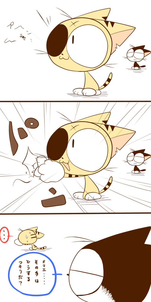 夏の季節