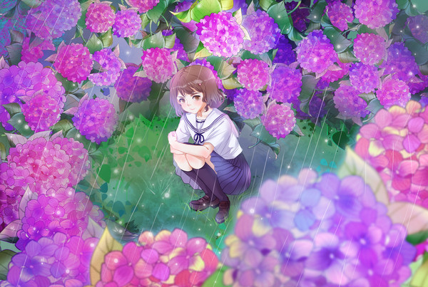 紫阳花