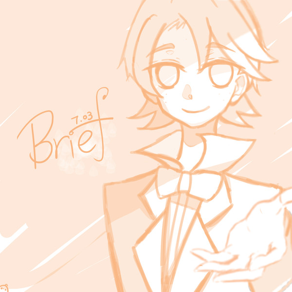 BRIEF.