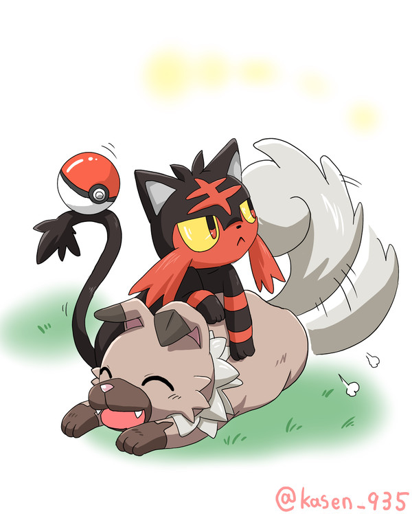 犬猫カワイイ
