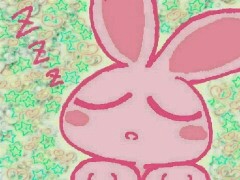 居眠りうさぎ