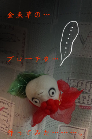 枯れ落ちる前に摘み取った