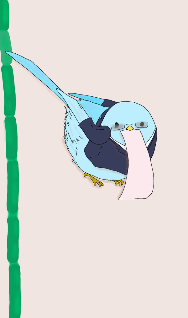 とりさんです！