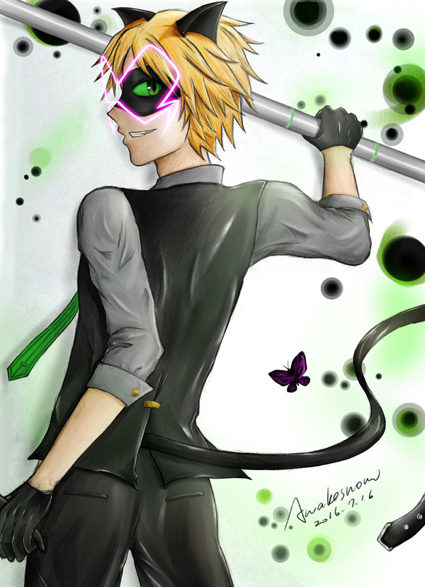 Akumatized Chat Noir.