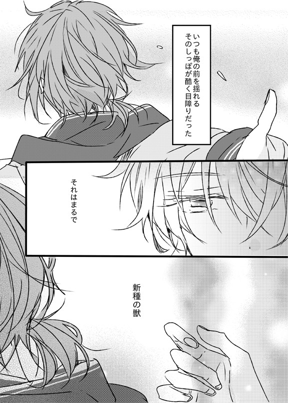 音の獣と爪あと