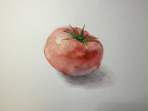 とまと