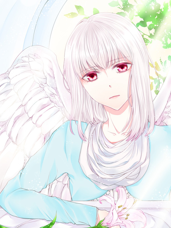白百合の君は
