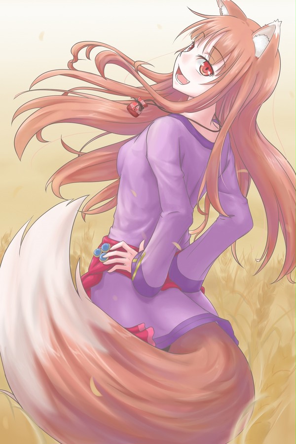 ホロ