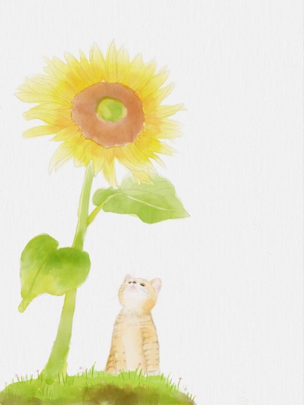 ねことひまわり