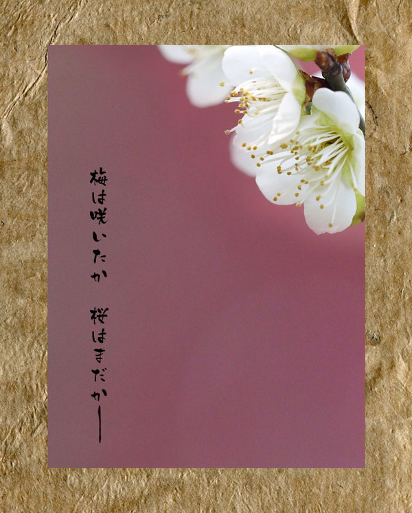 花待侍（縁×香夜）【写真絵本風SS】