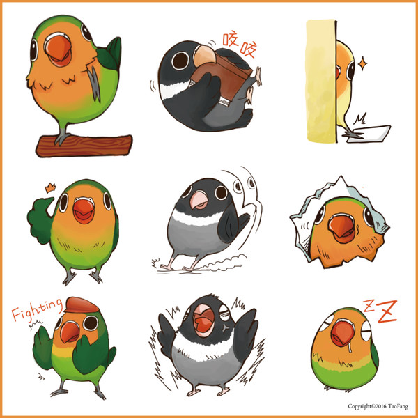 Naughty lovebird in Taiwan