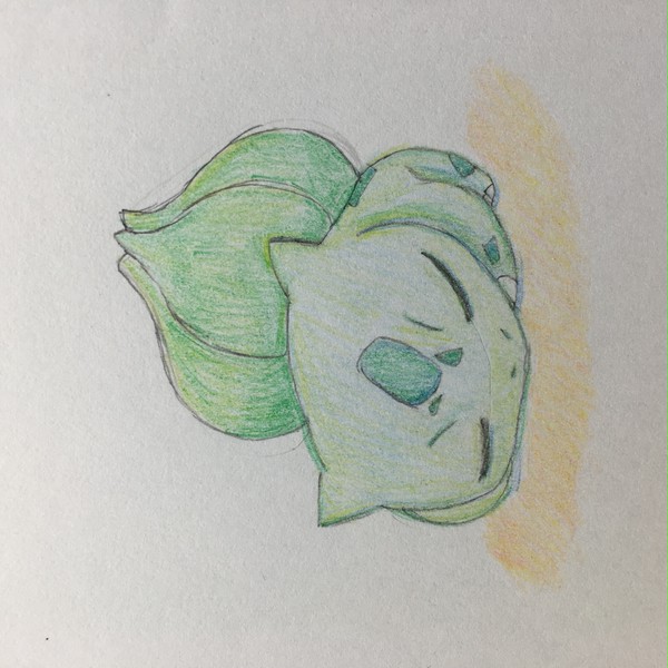 練習 フシギダネ