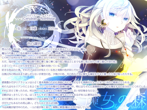 【魔女森】セルリアン・ノーススター【魔女】