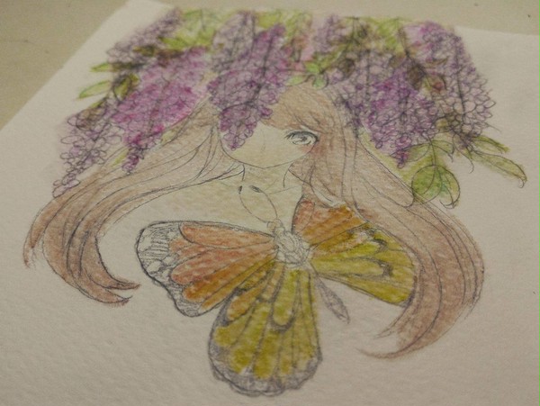 藤の花