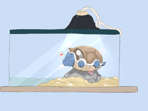 blastoise カメックス pokemon ポケモン