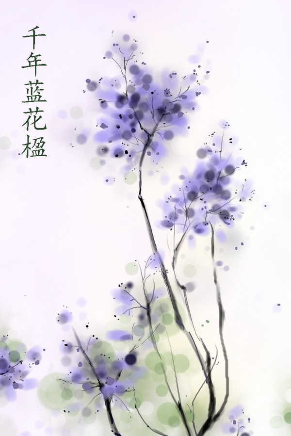千年蓝花楹