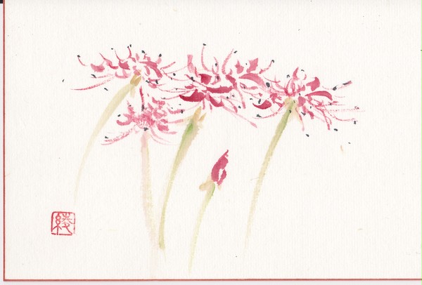 彼岸花