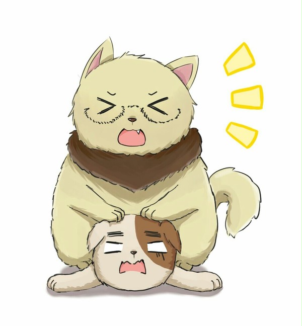 ねこ