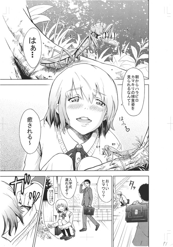 ひまわり昆虫記