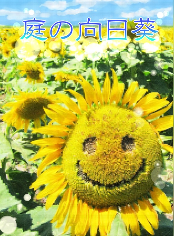 【壁博10・サンプル】　庭の向日葵