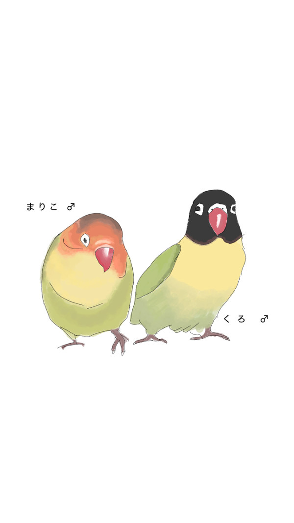 まりこ と くろ