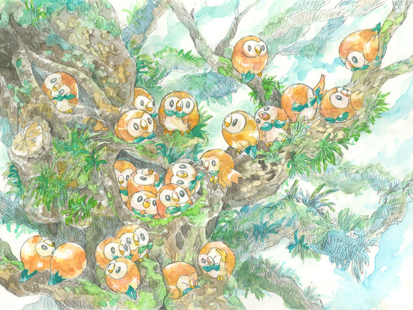アローラの宿り木