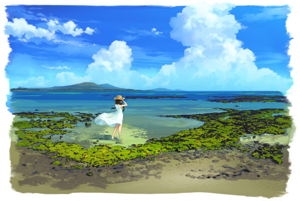 海