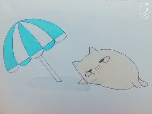 にゃんこ