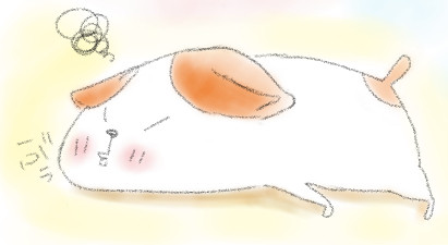 ぶぅ