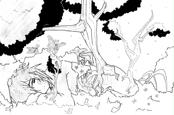 森の始まり