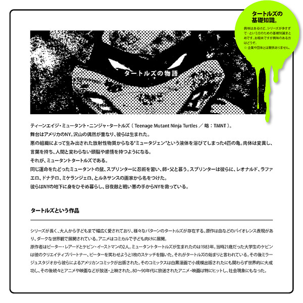 タートルズの基礎知識 改