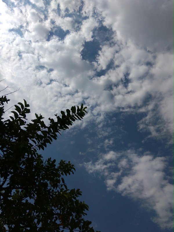cloudy