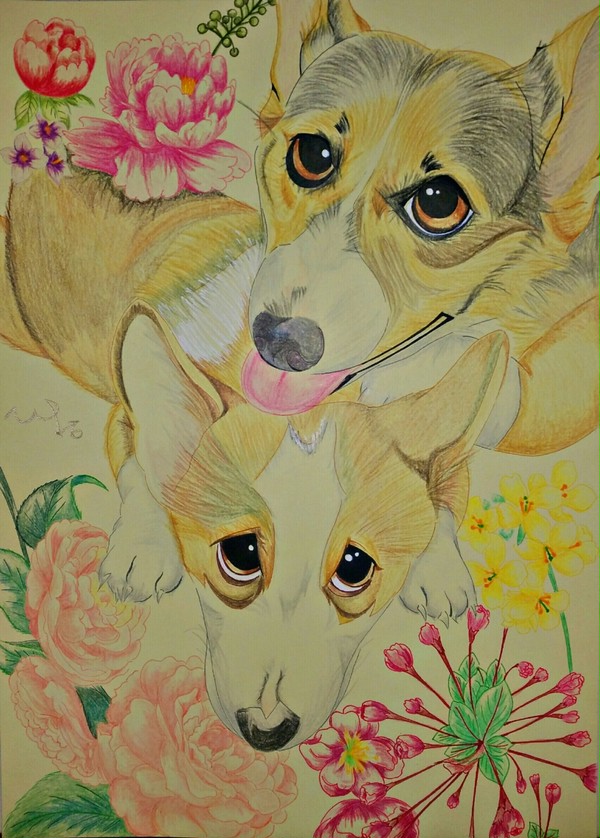 Dogs 