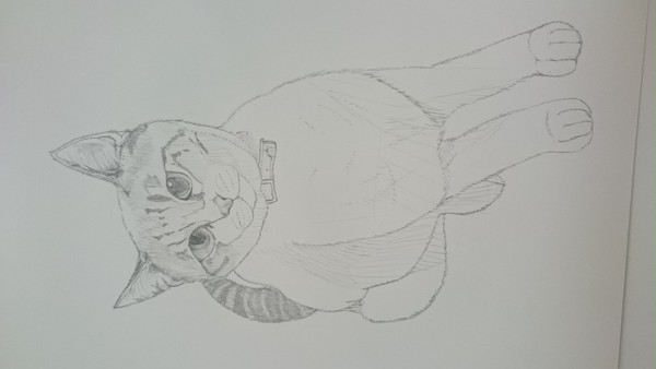 ニャンズ