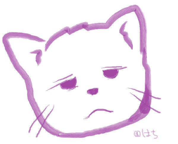 どっかで見た顔の猫