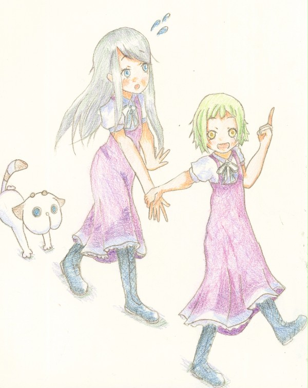 てこぴかり