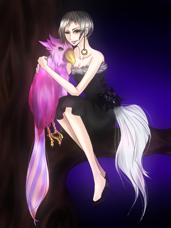 魔女と鸚鵡