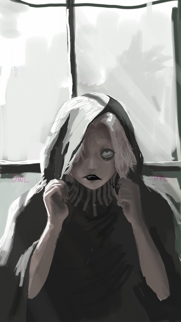 owl