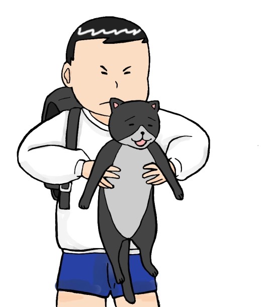 猫防御