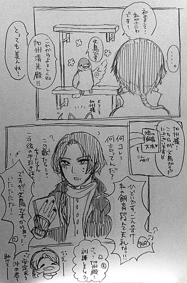 文鳥審神者ちゃんの刀剣乱舞