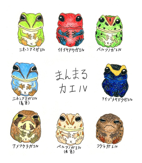 まんまる　カエル