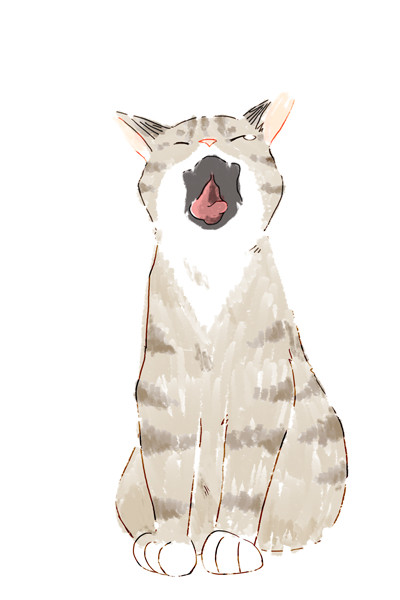 ふわぁ~~