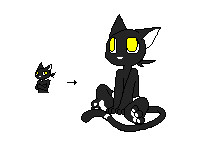 Pixel