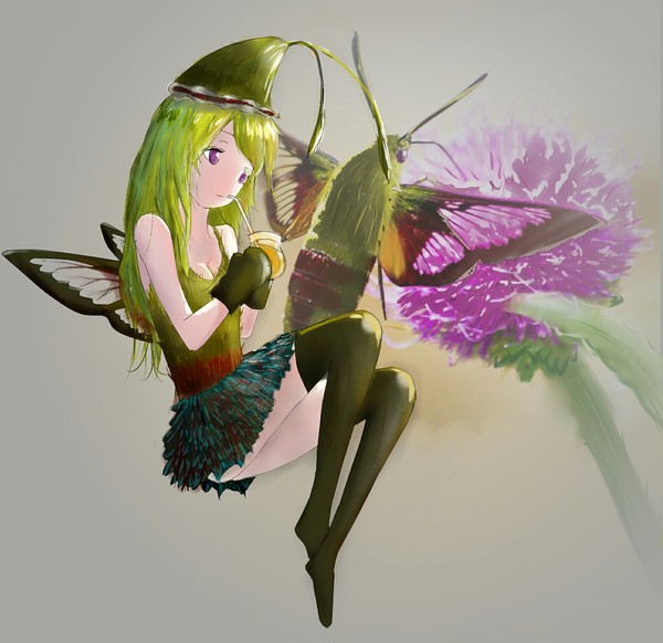 蜂鸟鹰蛾